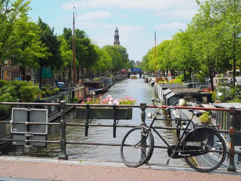 Why the Netherlands for Business and Career Development